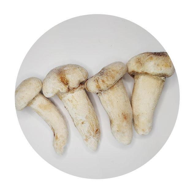 Wholesale price  fresh and quick frozen matsutake whole mushroom  size above 9cm