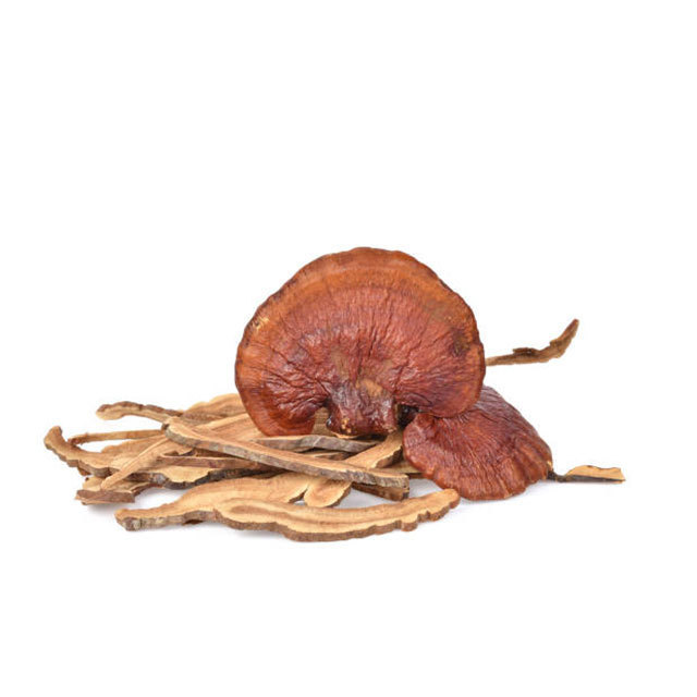 Dried Red Reishi Mushroom For Sale Best Red Reishi High Quality