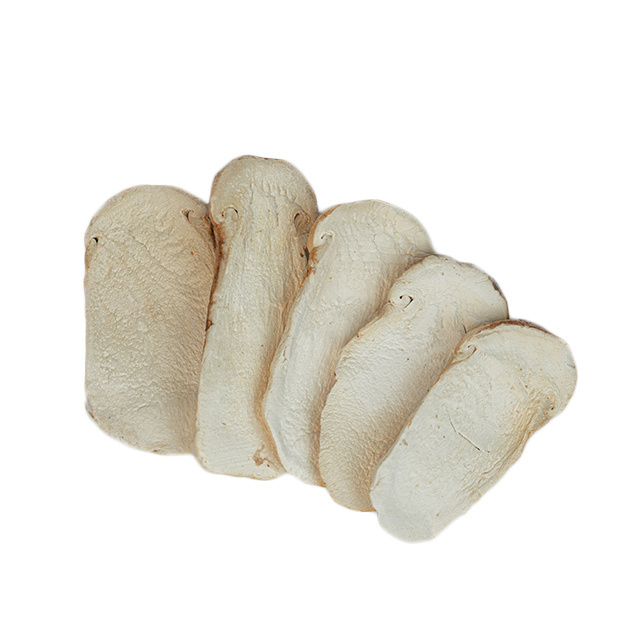 New season china supply different size freeze dried fresh wild matsutake