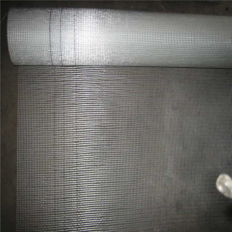 factory price 75gr 1x50m fiberglass fabric cloth Fiberglass net glass fiber fiberglass fabric mesh for plastering