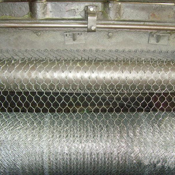 2024 Hexagonal wire mesh roll/ Poultry fencing chicken coop hexagonal wire netting/ small hole chicken wire mesh netting roll