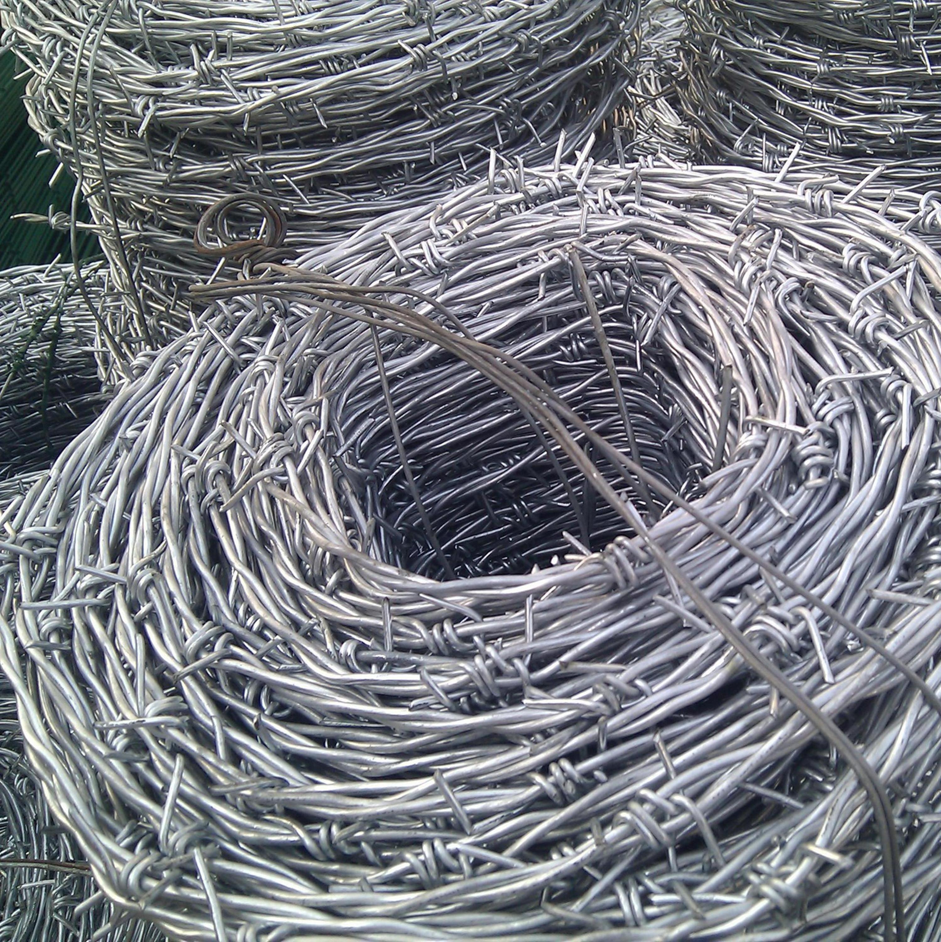 2024 Factory barbed wire price per roll Direct Sale 10 12 14 16 18 gauge Hot-Dipped Galvanized Secure Barbed Fencing Barbed wire