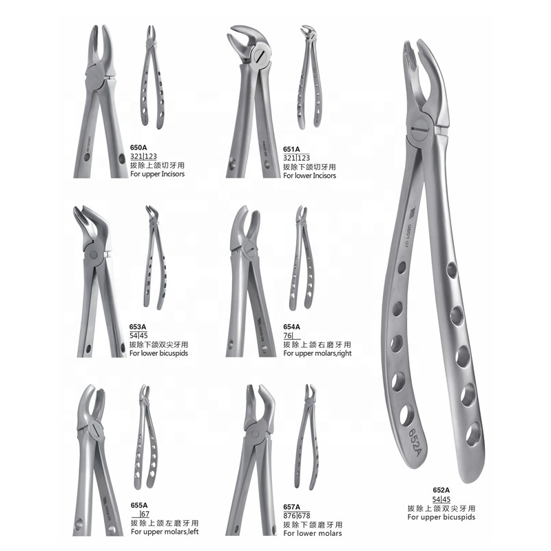 quality warranty dental instruments adult and children extraction forceps of dentist equipment from China