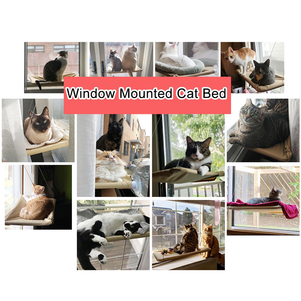 Pet Hanging Bed Cat Beds Sucker Window Mounted Perch Cat Hammock Wood Shelf Seat Pet Climbing Supports Up To 20kg