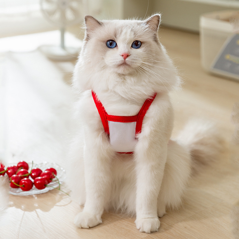 Spring Summer Cats Vest Cute Cartoon Fruit Accessories Traction Sling Dog Teddy Pet Kitten Breathable Dog Clothes