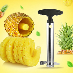 Hot sale product 304 Stainless Steel Pineapple Slicer Peeler Fruit Corer Slicer Kitchen Easy Tool Pineapple Spiral Cutter New