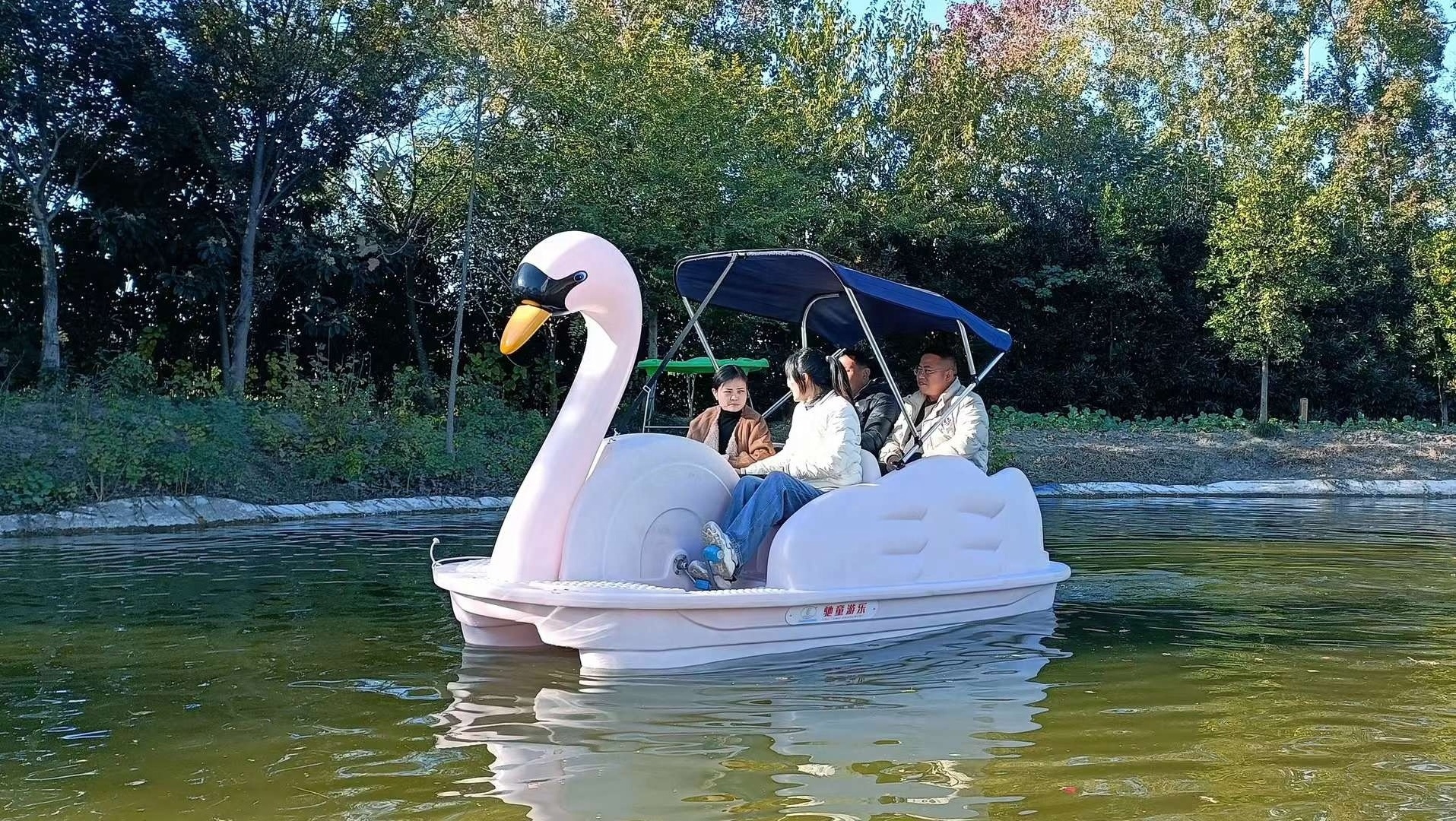 2 Person 4 Person PE Swan Pedal Foot Paddle Boat