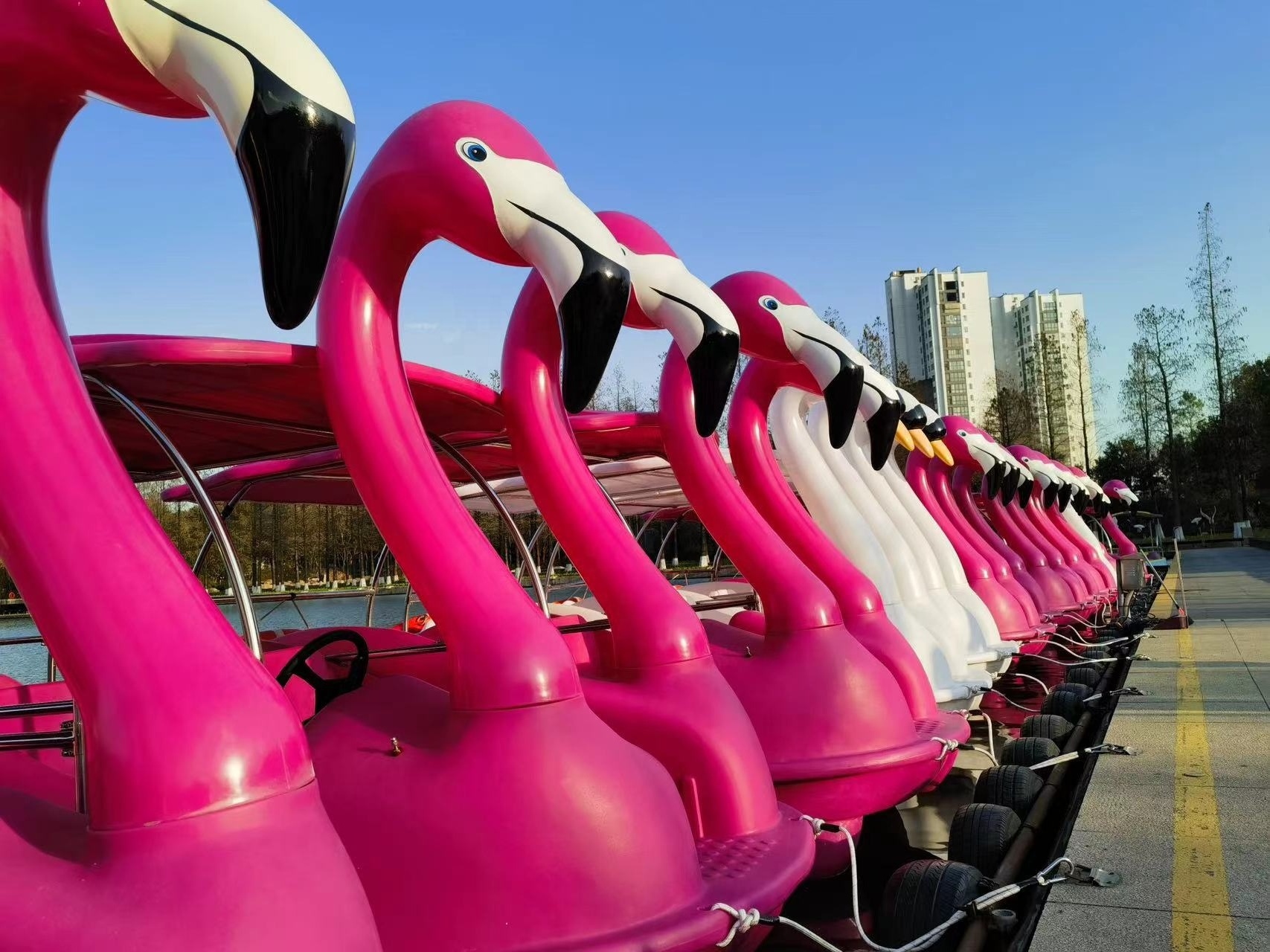 Attractive Famous pink flamingo yellow duck electric motor boat amusement equipment adult pedal boat