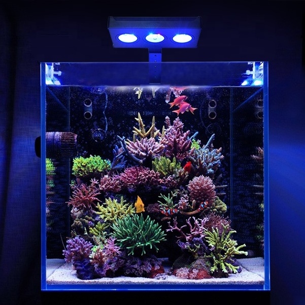 CTLite Aqua Knight 30watt Upgraded A029 Timer Dimmer Simulating Natural  lighting for Fish Coral Tank Reef Light