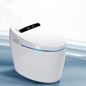 Modern Style Ceramic One Piece Smart Bathroom Ceramic Siphon Jet Flushing Electric Toilet