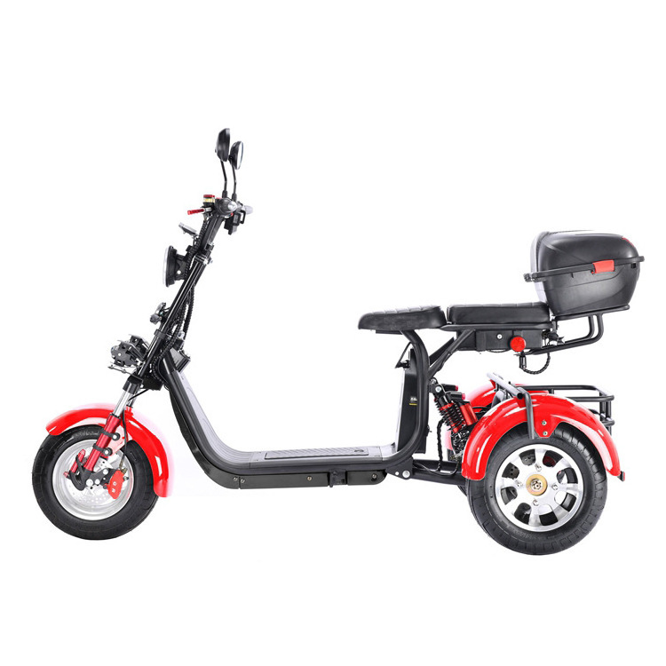 Factory Direct Trikes Folding Foldable Motor Handicap Scooter Electric Cargo Bike Electric Pedicab Passenger Motorized Tricycles