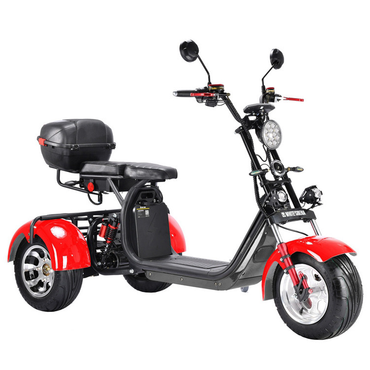 Factory Direct Trikes Folding Foldable Motor Handicap Scooter Electric Cargo Bike Electric Pedicab Passenger Motorized Tricycles