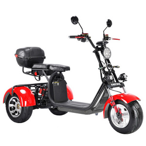 Factory Direct Trikes Folding Foldable Motor Handicap Scooter Electric Cargo Bike Electric Pedicab Passenger Motorized Tricycles