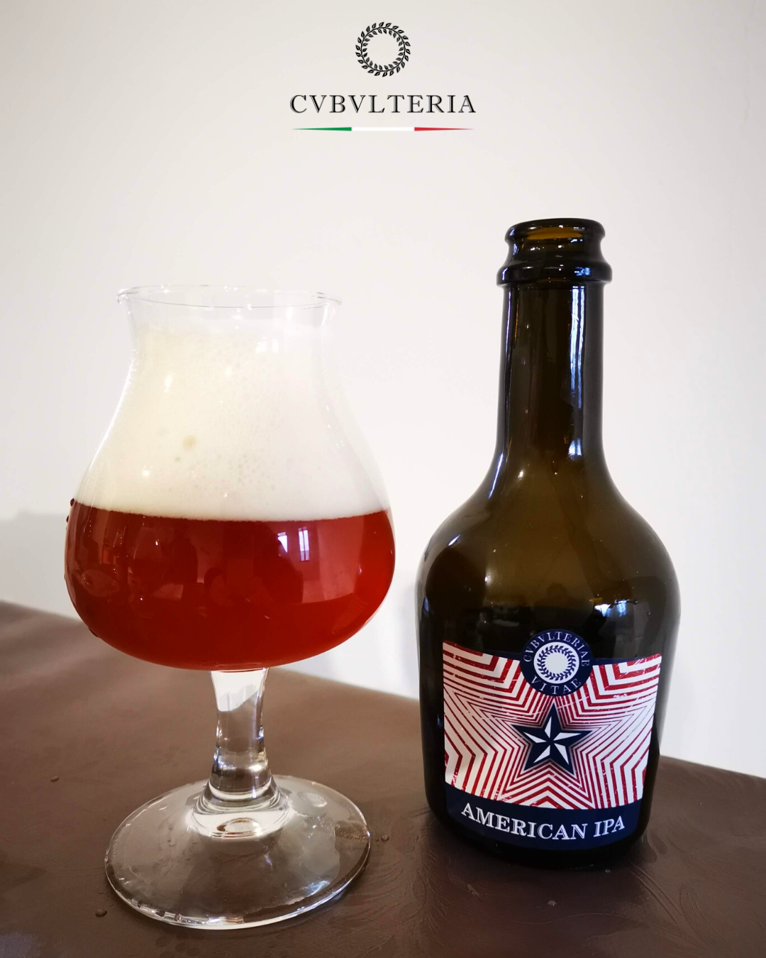 Beer VITAE pale ale Artisanal IPA Craft Beer 33cl Bottle Made in Italy High Quality beer