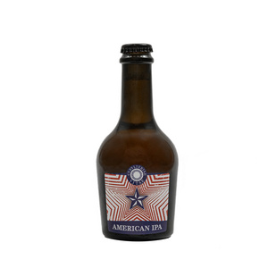 Beer VITAE pale ale Artisanal IPA Craft Beer 33cl Bottle Made in Italy High Quality beer