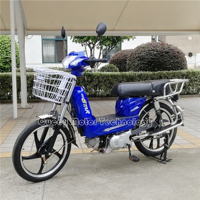 big 17 inches wheel tire miskito kit China motor gas 110cc 70c 50 cc 49cc 50cc moped with pedals