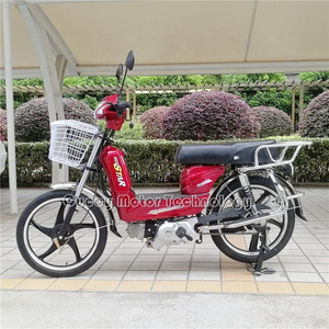 big 17 inches wheel tire miskito kit China motor gas 110cc 70c 50 cc 49cc 50cc moped with pedals