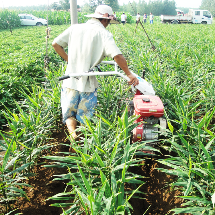 farm agriculture used mechanical chinese 12hp 6.5hp mini power cultivator hoe tiller with water pump price in bangladesh