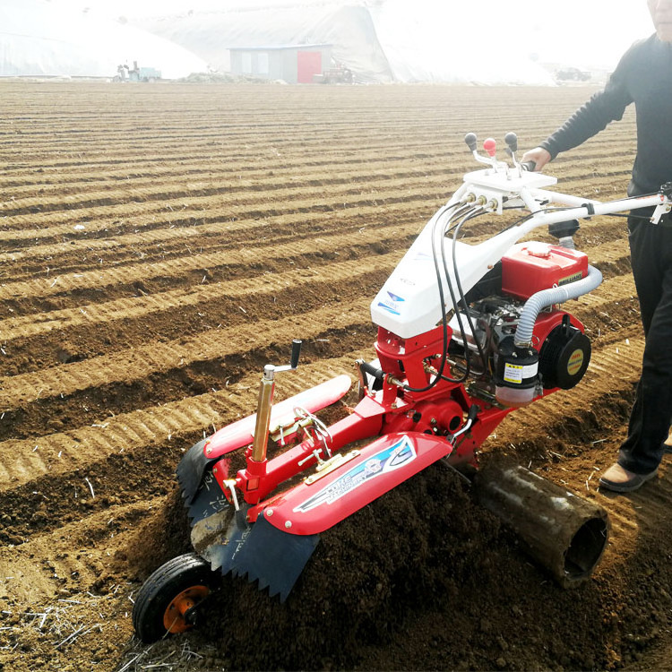 LUKE 3TG Multi diesel motor hand push sugarcane ginger mini land farm agriculture garden cultivator for sale price in india