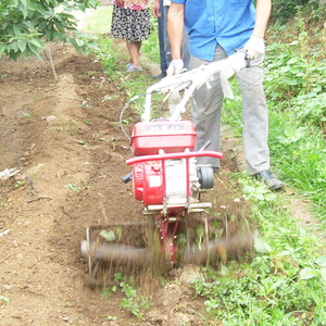 easy operated weed remover machine for small grass multi purpose