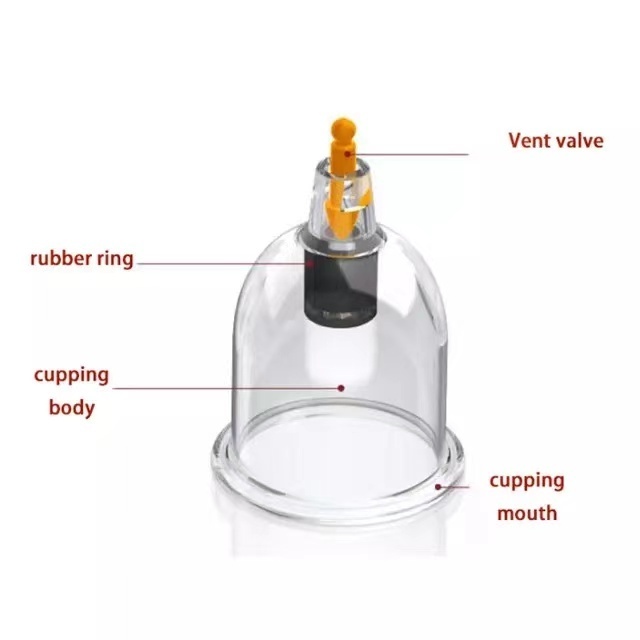 Plastic(PC AS)  Vacuum Cupping Set hijama cups 1 to 8 Size of Single cupping hijama cups