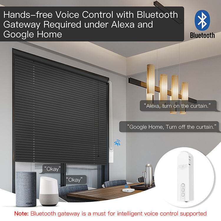 Tuya WIFI Smart Motorized Chain Curtain Motor Switch Voice Remote Control Smart Shade Roller Blinds Drive Motor