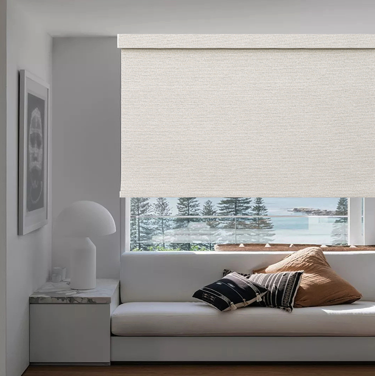 Blackout Smart Motorized Roller Blinds Double Layer Roller Blinds Battery Motorized Window Roller Shades