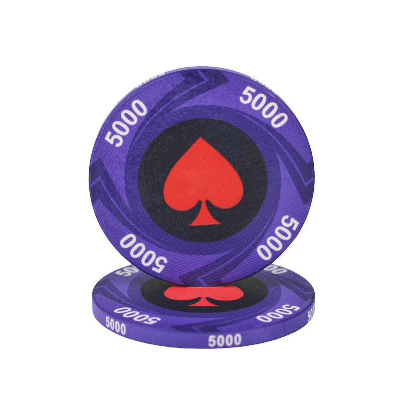 Professional 1000Pc Plastic Abs Casino Ceramic Playing Clay Poker Set 1000 Chips 14G With Aluminum Case