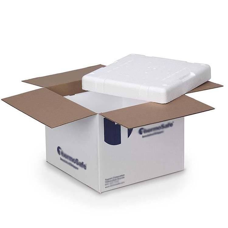 Wholesale Biodegradable Large Foam Cooler Transport Shipping Packing Insulated Carton Box With Styrofoam Inside