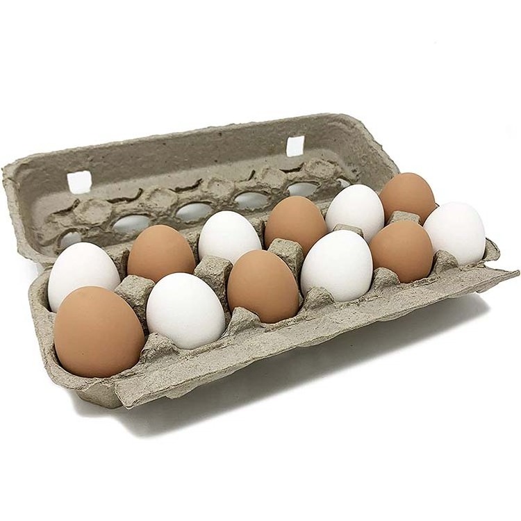 FPG Custom Colored Vented Paper Pulp Chicken Egg Tray Egg Cartons for packaging