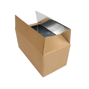 Custom Plain Cold Chain Aluminum Foil Insulation Lining Small Kraft Corrugated Rectangle Carton Insulated Shipping Box