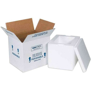 Wholesale Biodegradable Large Foam Cooler Transport Shipping Packing Insulated Carton Box With Styrofoam Inside