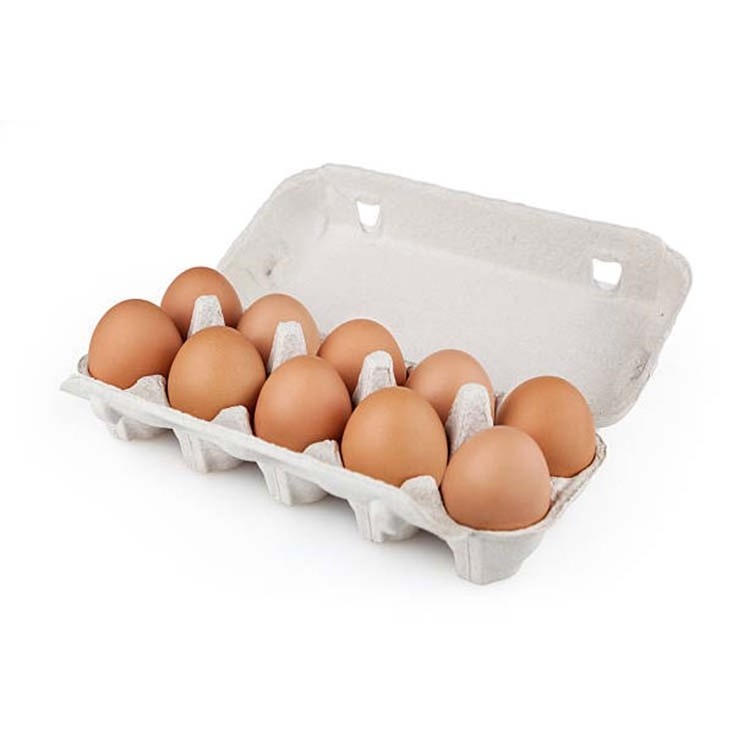 FPG Custom Colored Vented Paper Pulp Chicken Egg Tray Egg Cartons for packaging