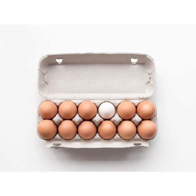 FPG Custom Colored Vented Paper Pulp Chicken Egg Tray Egg Cartons for packaging