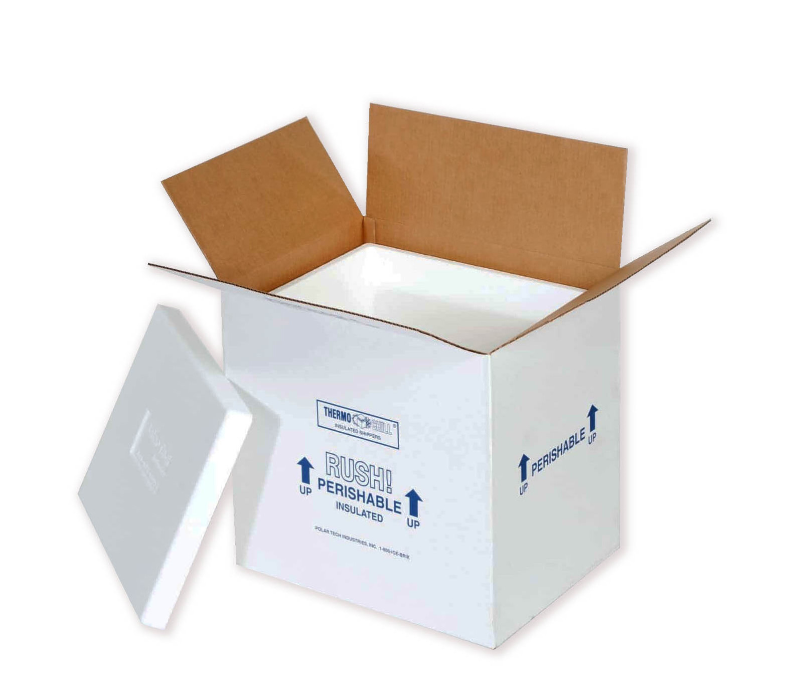 Wholesale Biodegradable Large Foam Cooler Transport Shipping Packing Insulated Carton Box With Styrofoam Inside