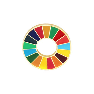 Custom un sustainable development goals lapel pin badge metal rainbow enamel wheel sdg pin