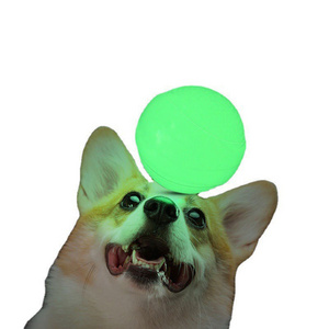 Light Up Squeaky Dog Ball Chew Toy Glow In The Dark Bouncing Agility Outdoor Night Dog Toy