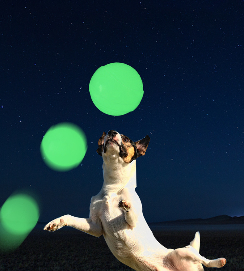 Light Up Squeaky Dog Ball Chew Toy Glow In The Dark Bouncing Agility Outdoor Night Dog Toy