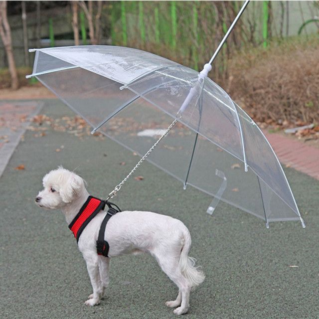 Outdoor fashion useful puppy dog leash umbrella with dog chain