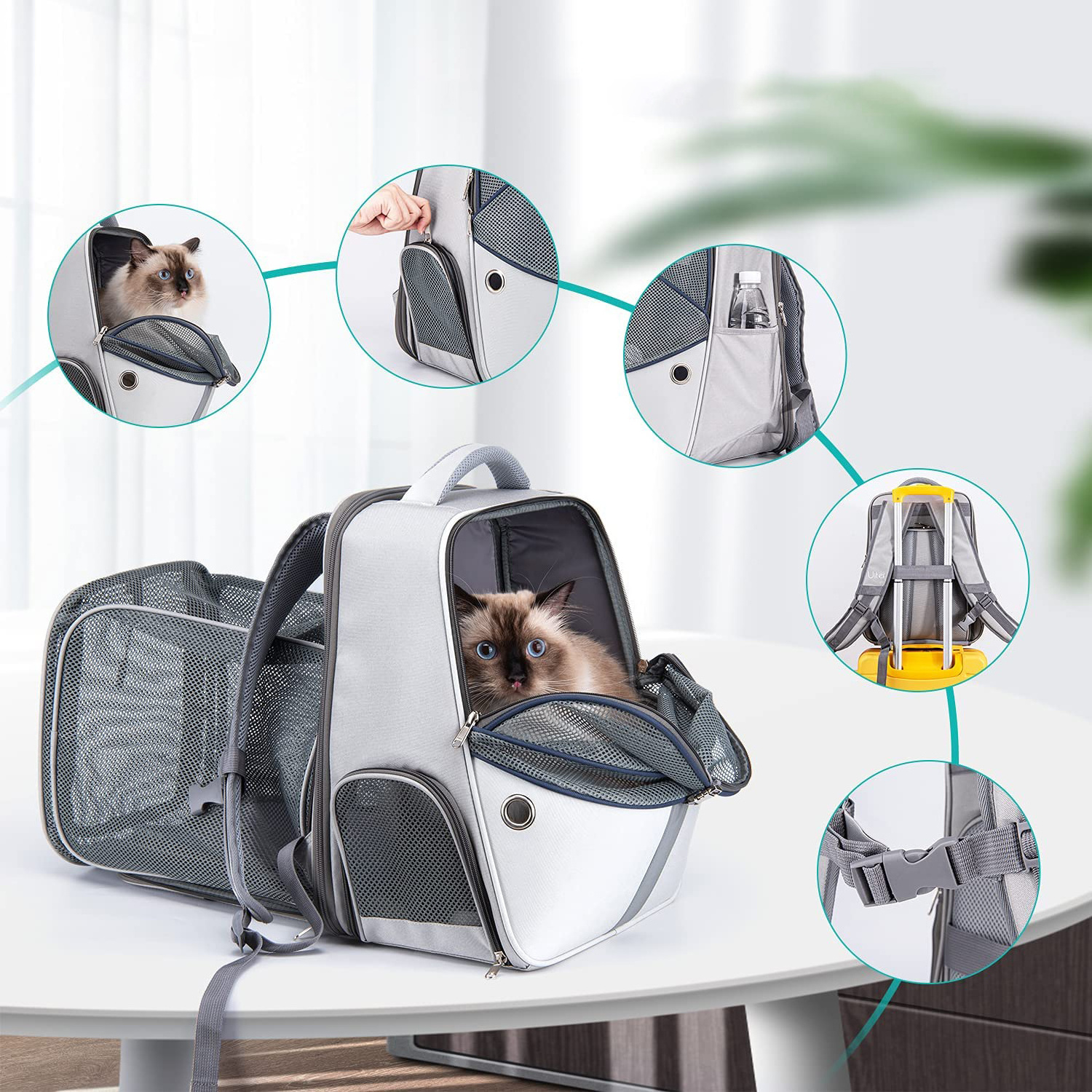 2022 Factory Luxury Cat foldable Shoulder Bag Backpack Capsule Small Airline Approved Travel Expandable Pet Carrier