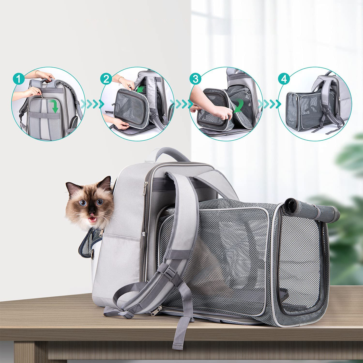 2022 Factory Luxury Cat foldable Shoulder Bag Backpack Capsule Small Airline Approved Travel Expandable Pet Carrier