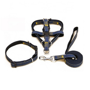 New Wholesale Cool Pet Harness Walking Dog Collar and Leash Set