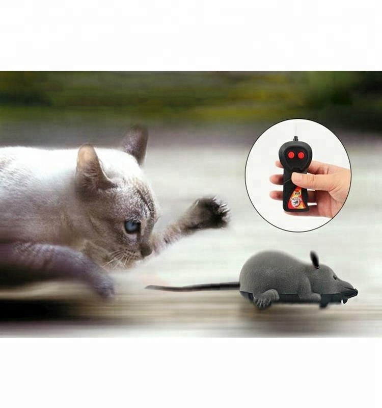 Best Cat Toys for Indoor Cats Wireless Electronic Remote Control Toys Mouse Rat Cat Chasing Toy