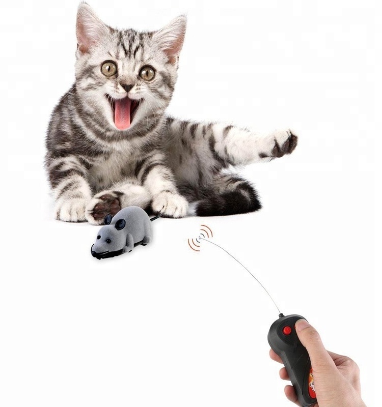 Best Cat Toys for Indoor Cats Wireless Electronic Remote Control Toys Mouse Rat Cat Chasing Toy