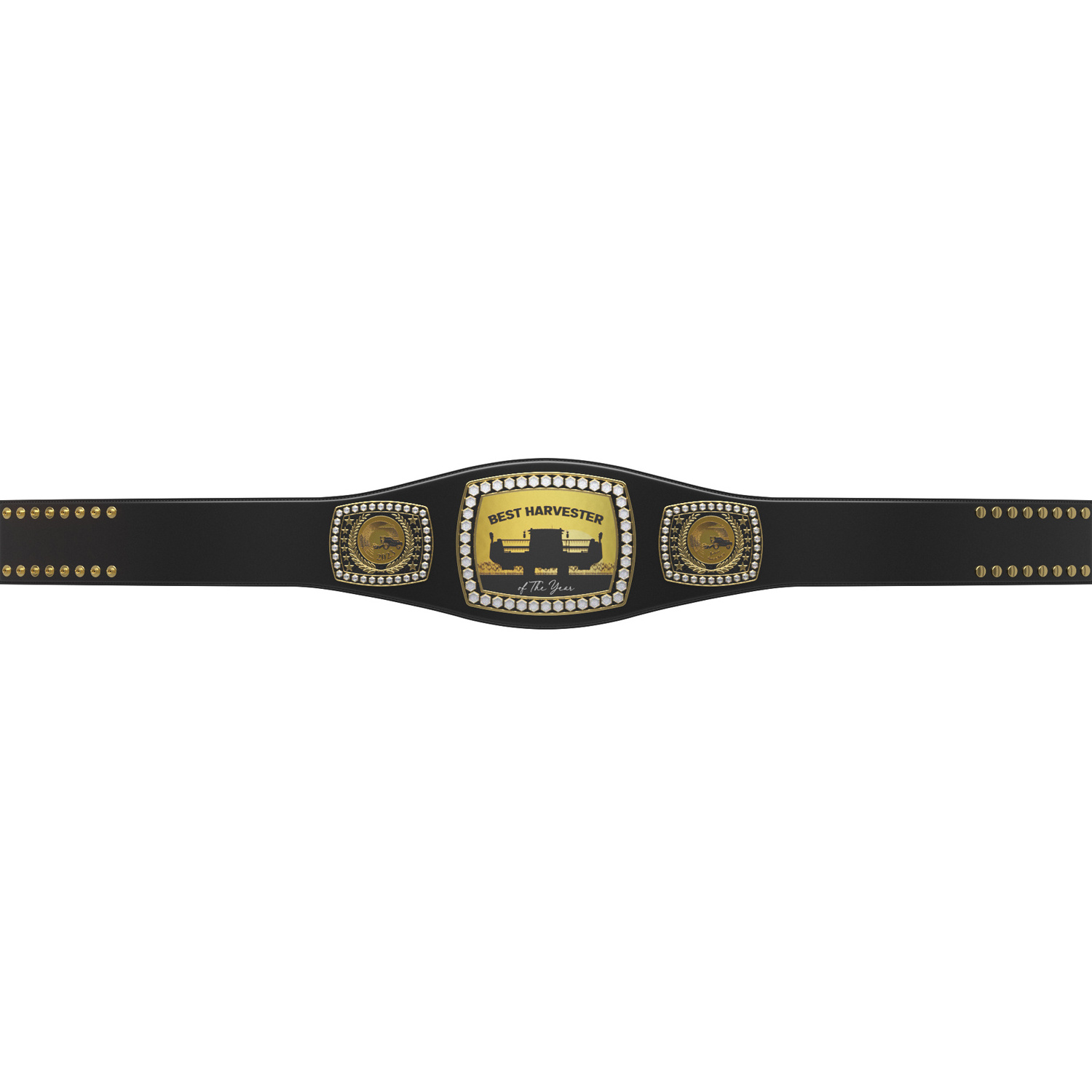 Express Legend Championship Belt newest full size belt Authentic Wear Universal Wrestling Winner Blue Commemorative Title Belt