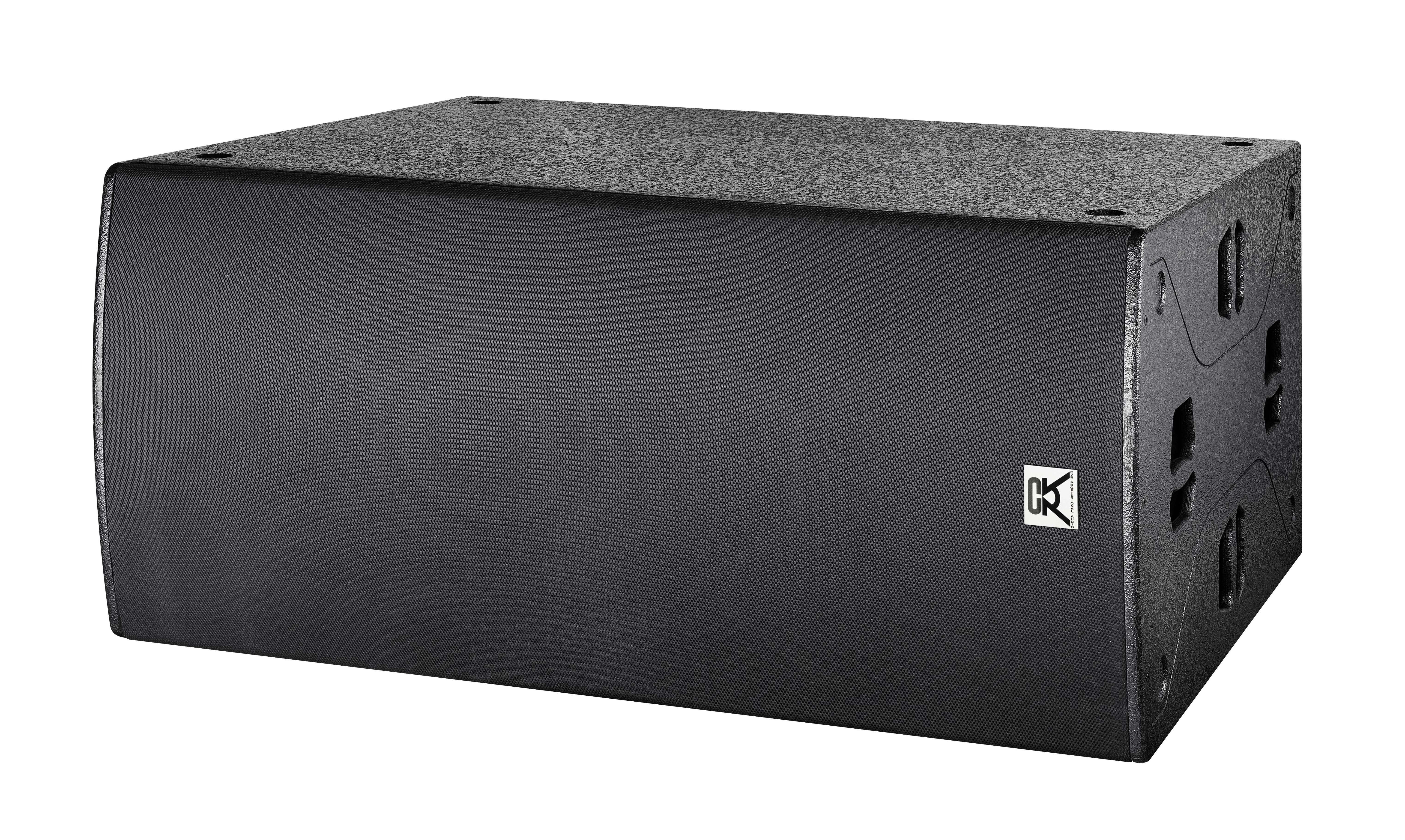 big power speaker dual 21 inch subwoofer