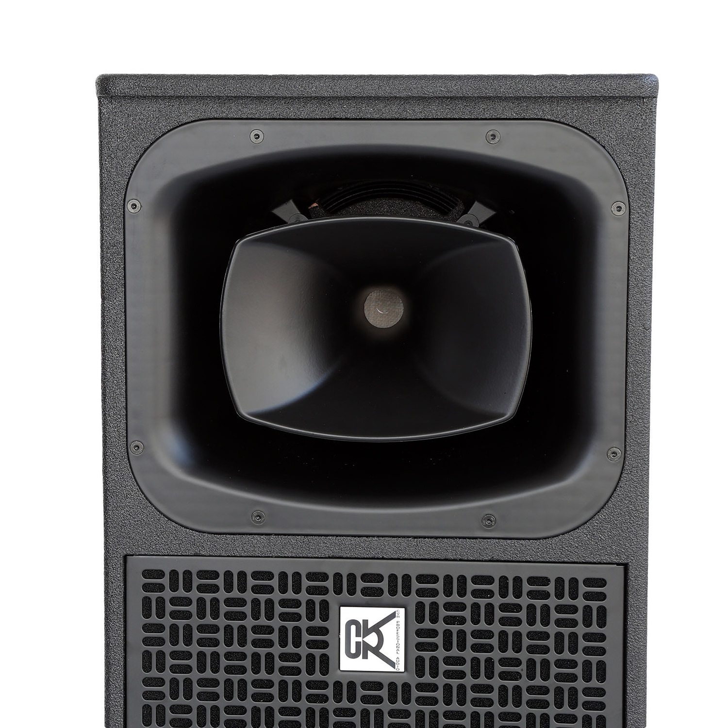 High End Top Speaker Dual 15 Inch Professional Audio Speaker