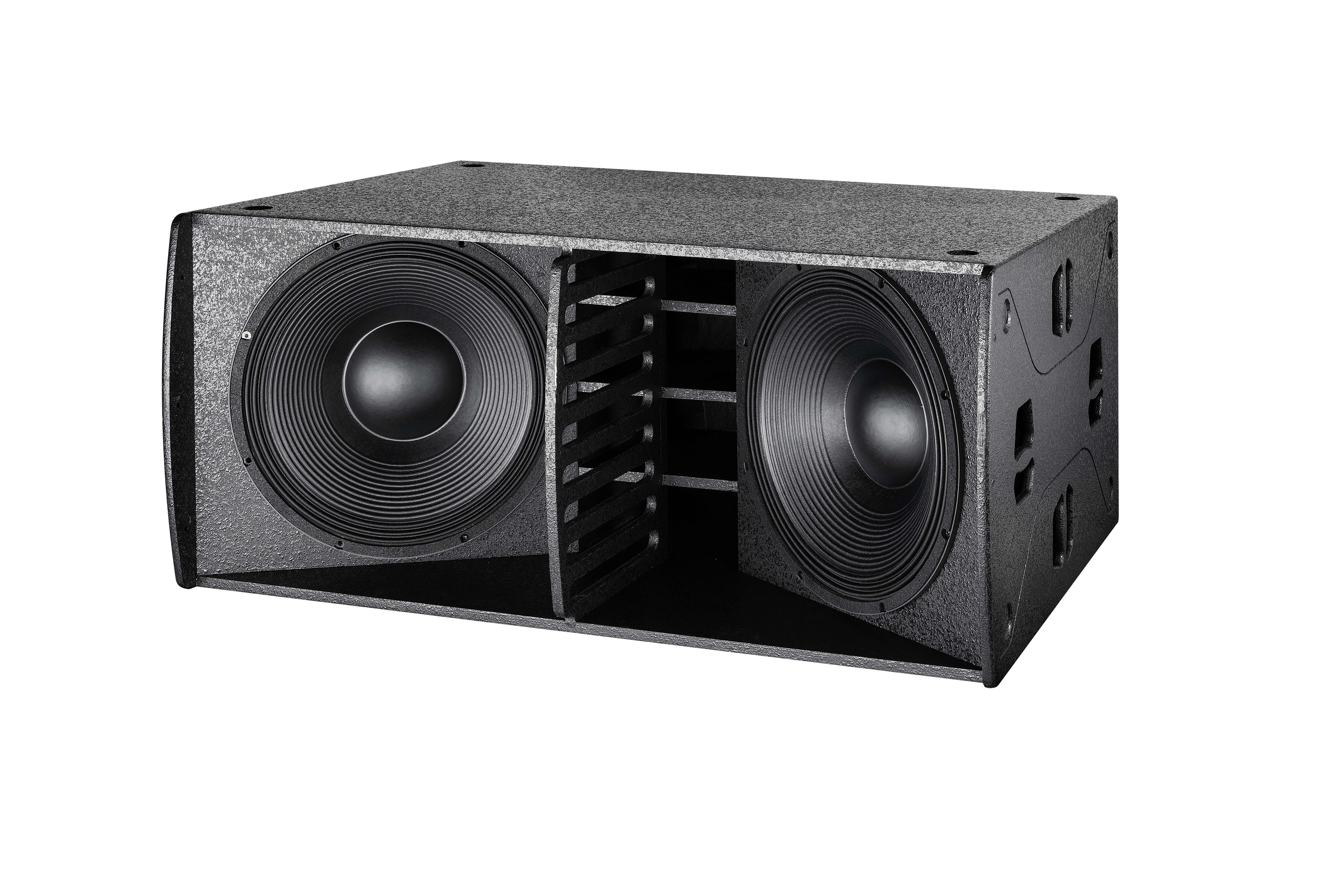 big power speaker dual 21 inch subwoofer