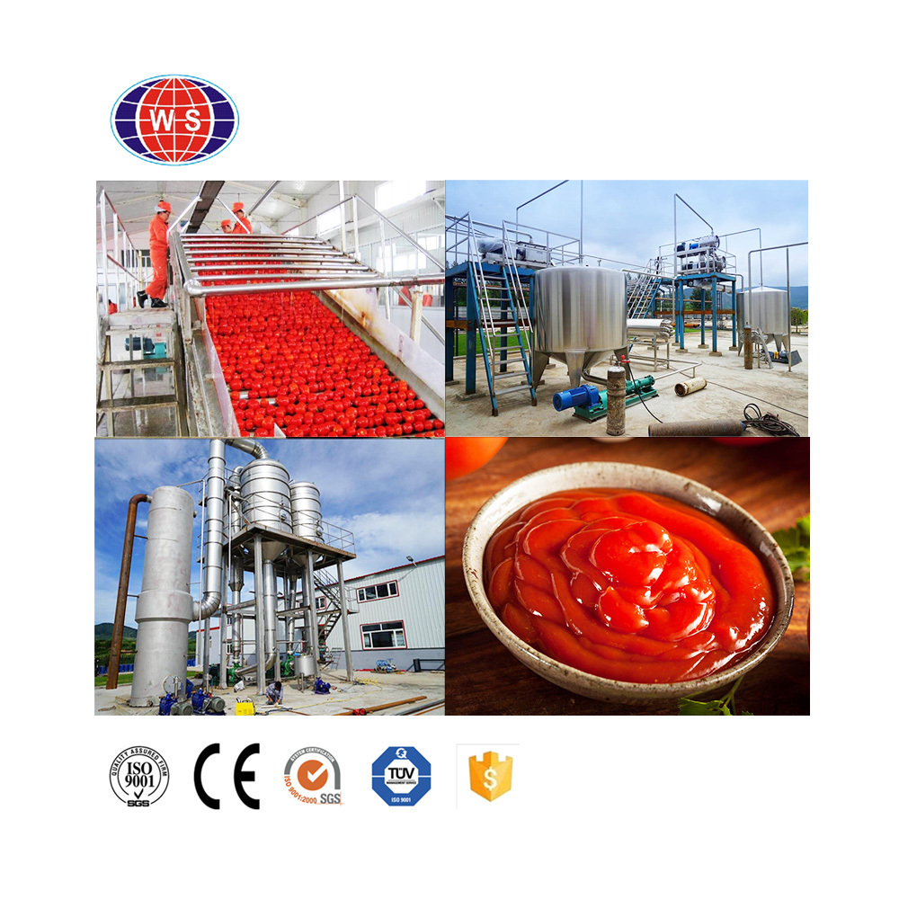 Small Capacity Tomato Ketchup Production Line Tomato Paste Making Machine