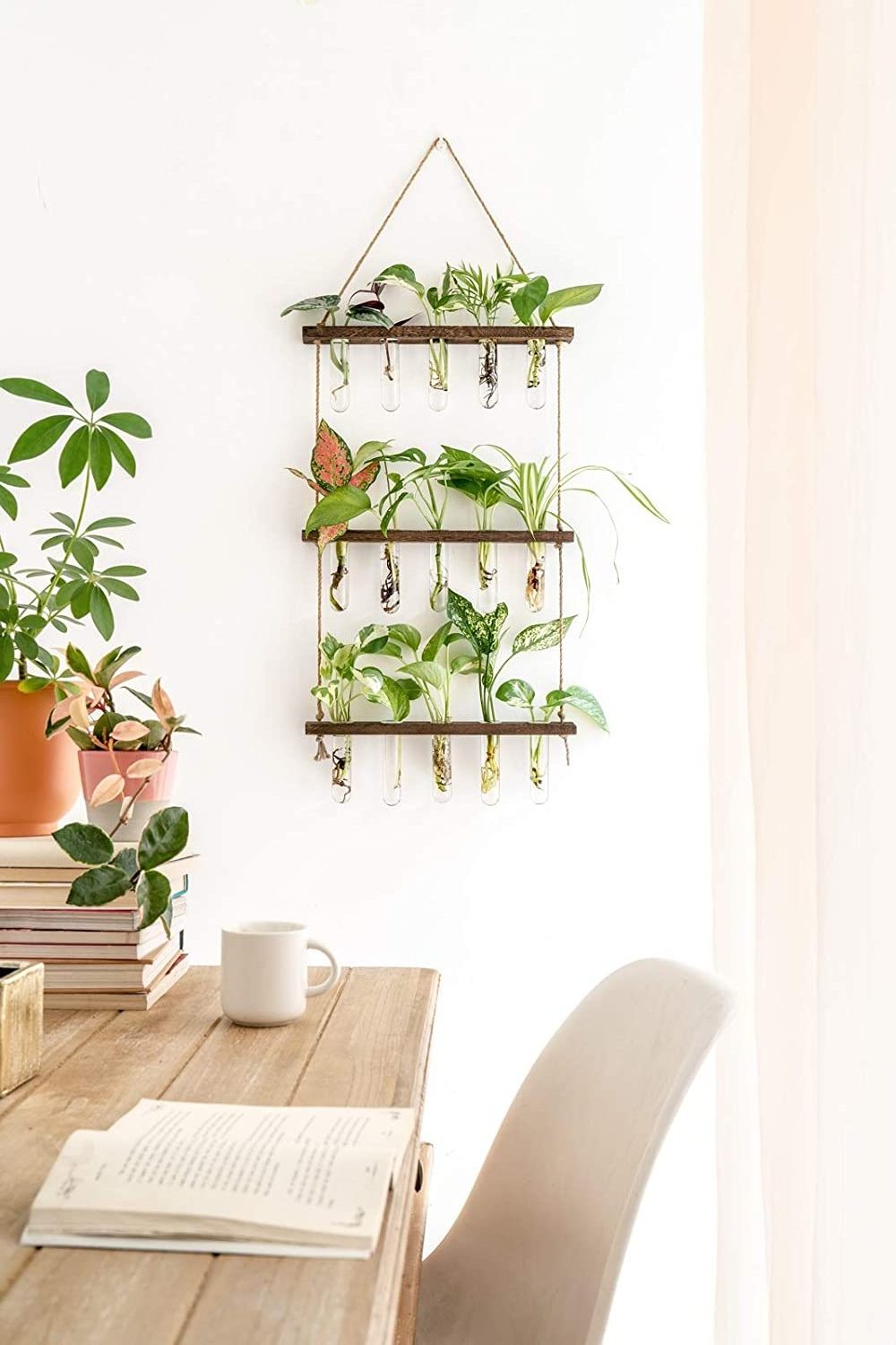 Hot sale decor plant holder hanging plants rack wall mounted plant stand with propagation tubes